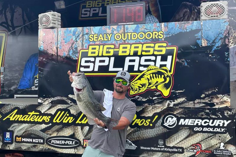 Erleben Sie den Großen Bass Splash Demo in Deutschland - Slot Review und Test